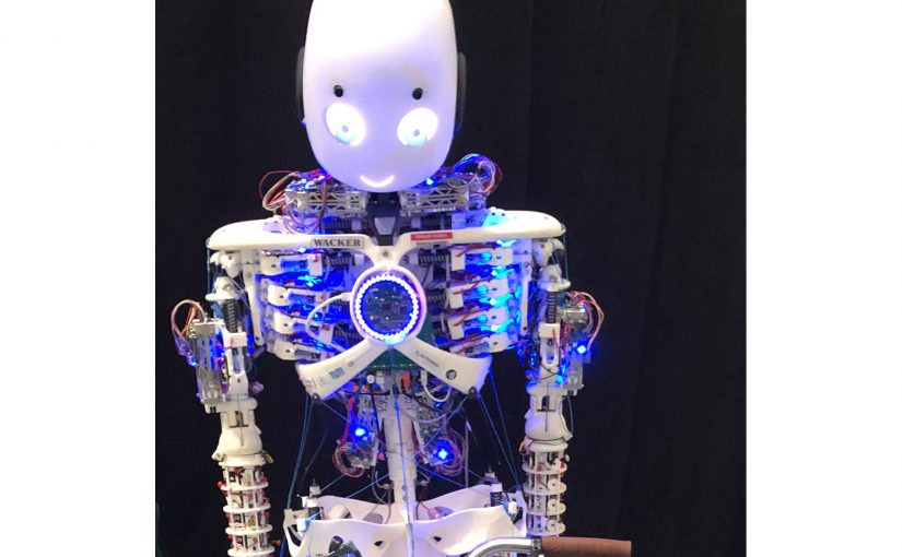 Humanoider Roboter Roboy 2.0 der Technischen Universität München (TUM) auf den Münchner Medientagen 2018
